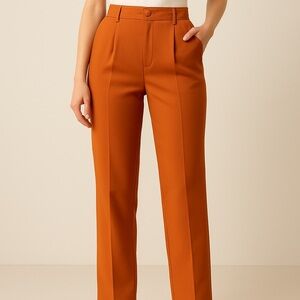 NICE Burnt Orange High-Waisted Pants Size 34